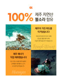 Made in korea collected by Jeju island Female Diver, Jeju sting winkle Cup Noodle 64g x 15Cup